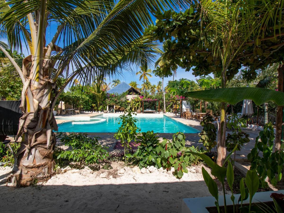 Tropical Oasis Boutique Hotel Michamvi 외부 사진