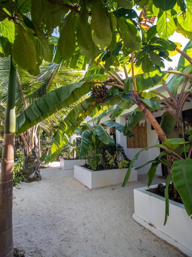 Tropical Oasis Boutique Hotel Michamvi 외부 사진